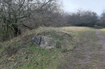  ( © Prudký Martin 02/2020)