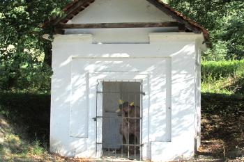Kaple se sochou Zbičovaného či Bolestného Krista ve Velenicích u Zákup ( © Pavel Vítek 09/2019)