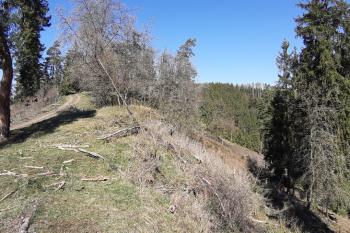 Úzký hřbet lokality (© Prudký Martin 04/2020)