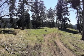  (© Prudký Martin 04/2020)