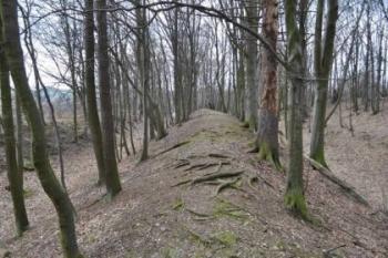 Keltské oppidum (© Archeologický atlas 03/2008)