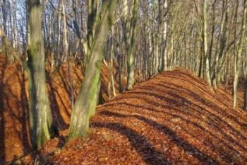 Keltské oppidum (© Archeologický atlas 03/2008)