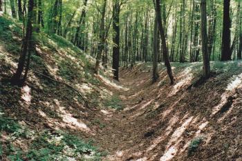 Češovské valy (© Lukáš Pechánek, 07/2006)