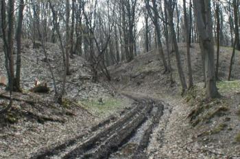 Hlavní brána. (2003 ©Martin Zdrůbek)