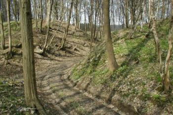 Klešťovitá brána zevnitř hradiště. (2003 ©Martin Zdrůbek)