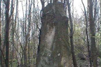 Pomník Tomáše Svobody (2003 ©Martin Zdrůbek)