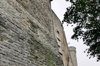  ( © Pavel Semple 08/2018)