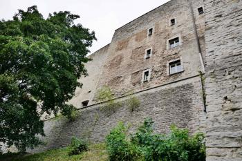  ( © Pavel Semple 08/2018)