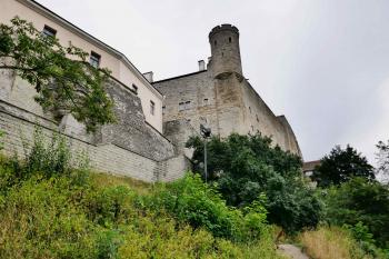  ( © Pavel Semple 08/2018)