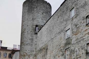  ( © Pavel Semple 08/2018)