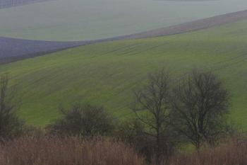Dolní sídlo ( © Roman Řezáč 01/2020)