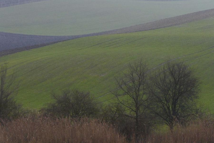 Všetrapy