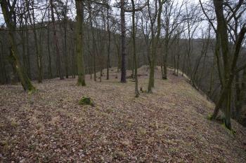  ( © Jiří Čížek 01/2020)