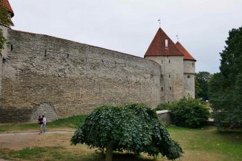  ( © Pavel Semple 08/2018)