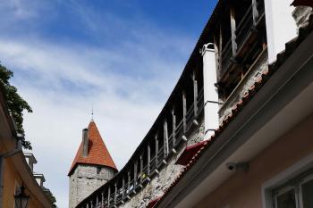  ( © Pavel Semple 08/2018)