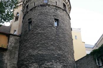  ( © Pavel Semple 08/2018)