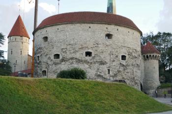  ( © Pavel Semple 08/2018)