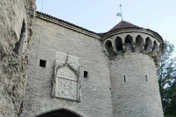  ( © Pavel Semple 08/2018)