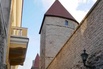  ( © Pavel Semple 08/2018)