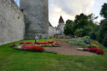  ( © Pavel Semple 08/2018)