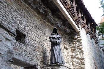  ( © Milan Caha 07/2017)