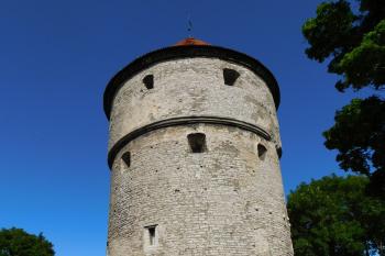  ( © Milan Caha 07/2017)