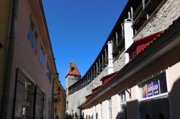  ( © Milan Caha 07/2017)