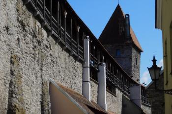  ( © Milan Caha 07/2017)