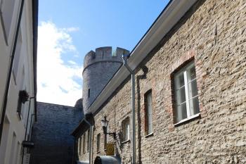  ( © Milan Caha 07/2017)