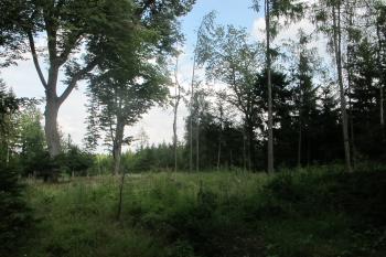 Pohled od příjezdové cesty na západě ( © Dušan Dohňanský 08/2019)