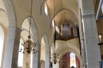  ( © Milan Caha 07/2017)