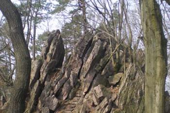  (© Mejla, 04/2009)