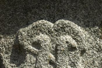  ( © Milan Caha 08/2012)