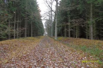 Násep Strousbergovy železnice (© Milusvon  11/2021)