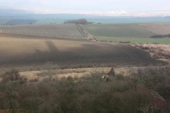 Pohled ze západního úbočí, v popředí zříceniny dvora Podhora, na poli za ním stín Bílé věže ( © Ivan Grisa 12/2009)
