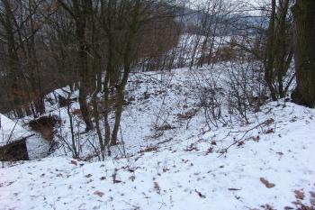  ( © Roman Řezáč 02/2008)