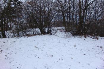  ( © Roman Řezáč 02/2008)