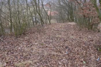  ( © Roman Řezáč 01/2020)