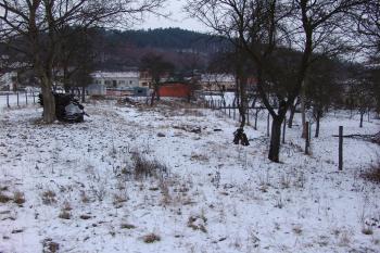  ( © Roman Řezáč 01/2008)