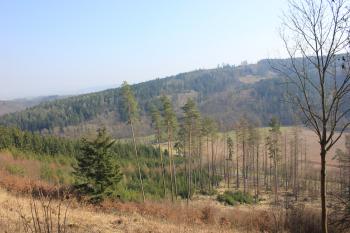  (© Luděk Vláčil 03/2020)