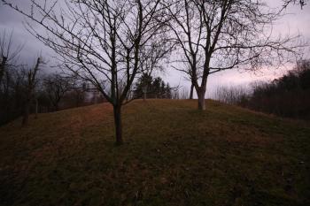  (© Petr Nožička 01/2020)