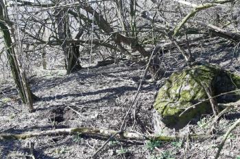  (© Roman Řezáč 03/2020)