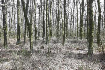  (© Prudký Martin 03/2020)