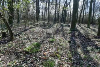  (© Prudký Martin 03/2020)