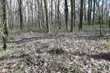  (© Prudký Martin 03/2020)