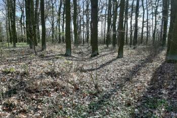  (© Prudký Martin 03/2020)