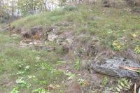 Najdek