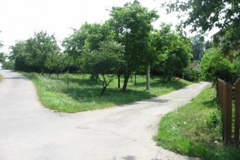 Severní zakončení výběžku na němž stál dvůr s tvrzi. (© Dušan Dohňanský 07/2018)
