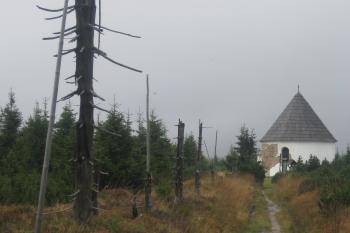  (© Zdeněk Susa, 09/2011)