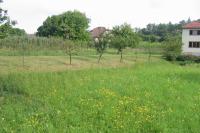 Crhov